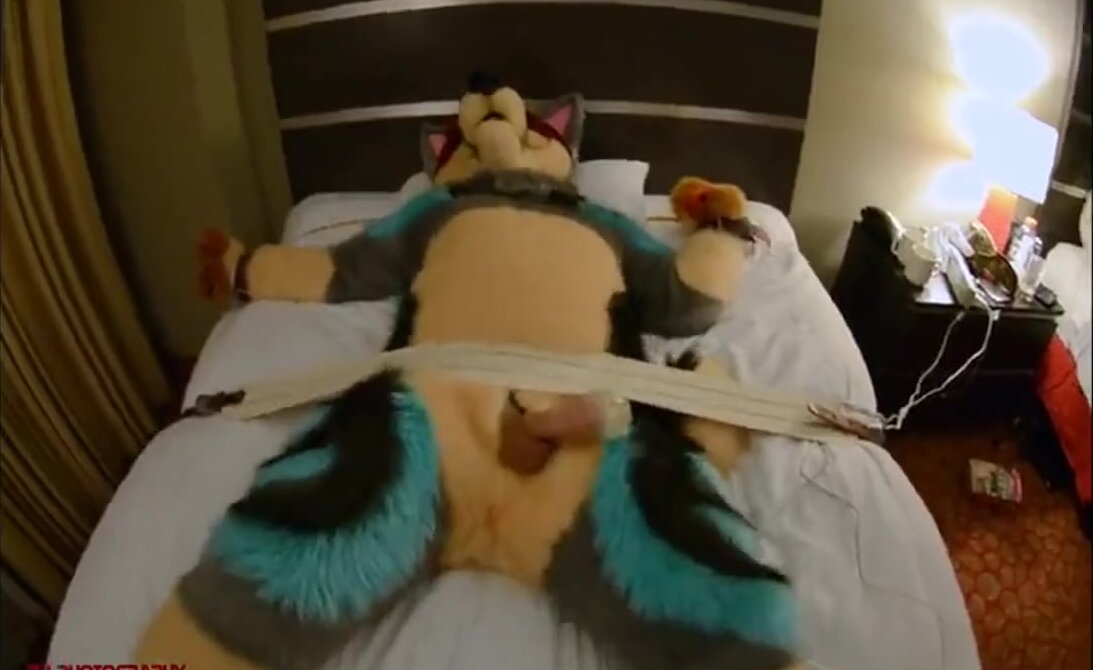 best of Cum fursuit