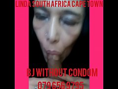 Zorro recomended town africa cape linda south